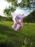 IMG_0180.JPG - 
